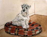 Schnitzer on His Plaid Bed
